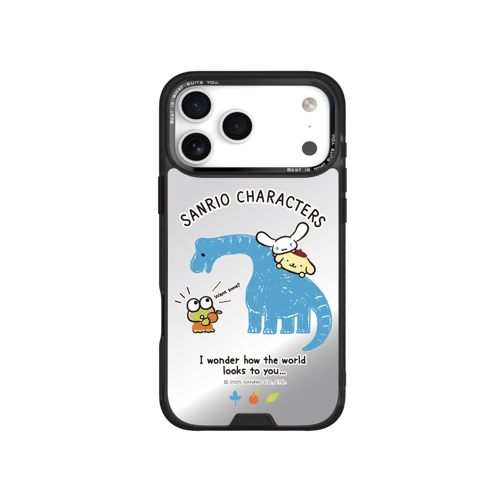 #型號_17pro_KT_BS_DMS